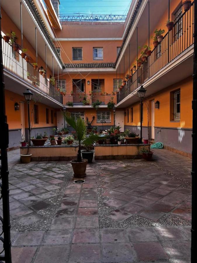 Cozy In Sevilla Dış mekan fotoğraf